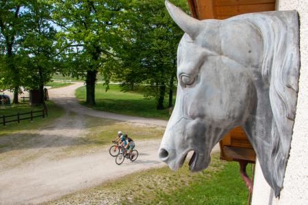 Muzej Ljutomerski kasač in hipodrom